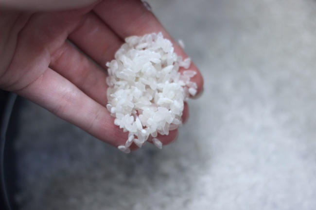 Picture of medium grain rice in a rice cooker.